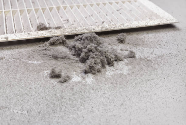 Air Duct Mold Removal in Briarcliff, TX